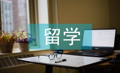 留學安全總結