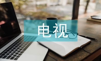 電視新聞頻道論文