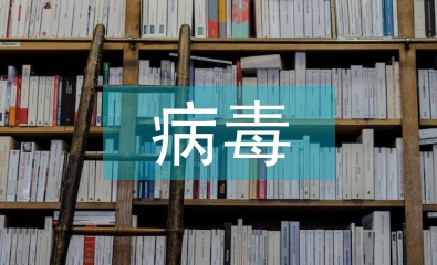基于防火墻和病毒查殺的網(wǎng)絡(luò)安全機(jī)制