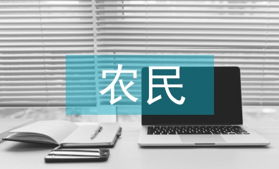 農(nóng)民消費(fèi)水平