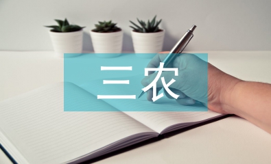 三農政策論文