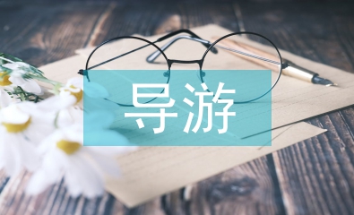 導游年度總結