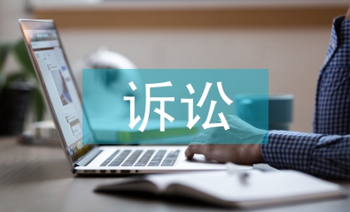訴訟理論論文
