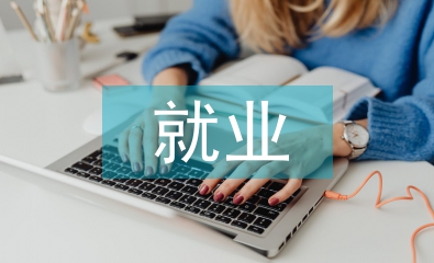 村委就業工作計劃