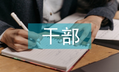 黨外干部履職報告