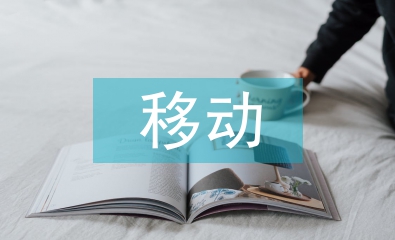移動(dòng)電子商務(wù)論文