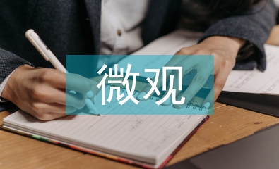 微觀經濟學論文