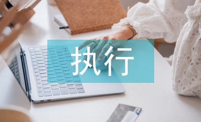 執行工作報告