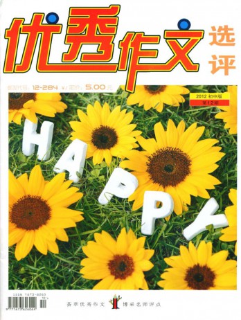 優(yōu)秀作文選評(píng)·初中版雜志